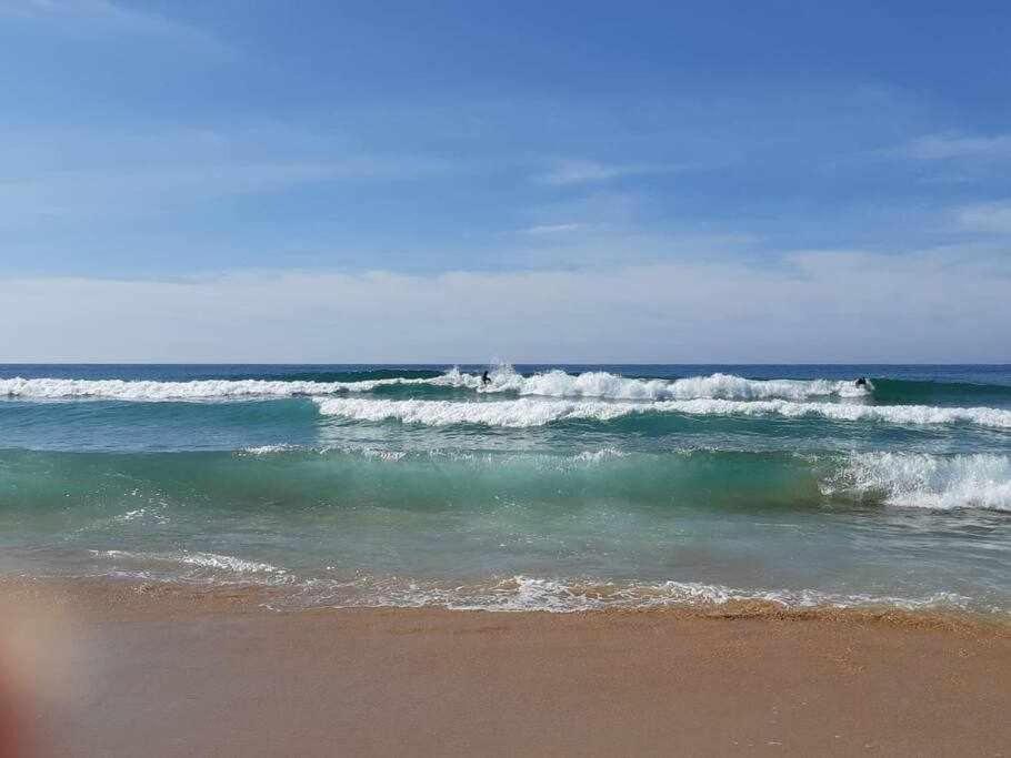 Apartamento A 150M De La Playa Wifi Gratis Denia Zewnętrze zdjęcie